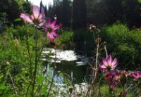 Le Grand Jardin d'Élisabeth