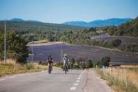 Forcalquier Lure à Vélo