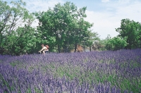 cap-liberte-agence-de-voyage-velo-vtt-luberon-verdon-(3).jpg