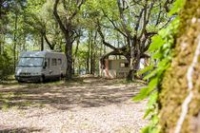 Aire Naturelle du bois de Sibourg