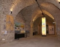 Musée de géologie