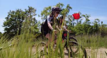Boucle vélo : La Martre - Le Logis du Pin - EN