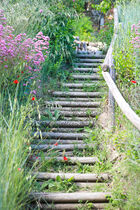 vue du jardin