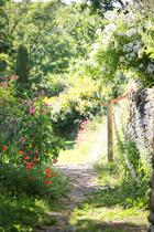 Jardin de l'abbaye de Valsaintes_Simiane-la-Rotonde Jardin de l'abbaye de Valsaintes_Simiane-la-Rotonde