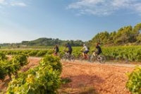 Vignobles à vélo