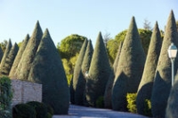 Hôtel Carcarille - Restaurant Le C