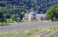 Abbaye de Sénanque à Gordes