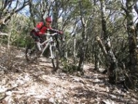 Itinéraire VTT à Céreste