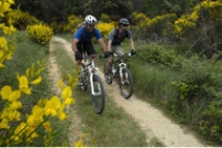 VTT en Vaucluse