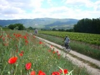 Grand Tour du Pays d'Apt en VTT