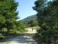 Parcours VTT Les Taillades