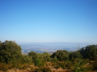 Parcours VTT Manosque - Foret de pelissier