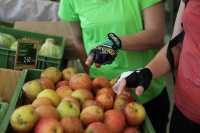 Unis Verts Paysans - Pommes locales - Luberon
