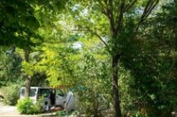 Camping Le Luberon