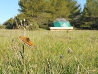 Dôme géodésique Camping à la ferme Roumavagi