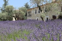 Musée de la Lavande